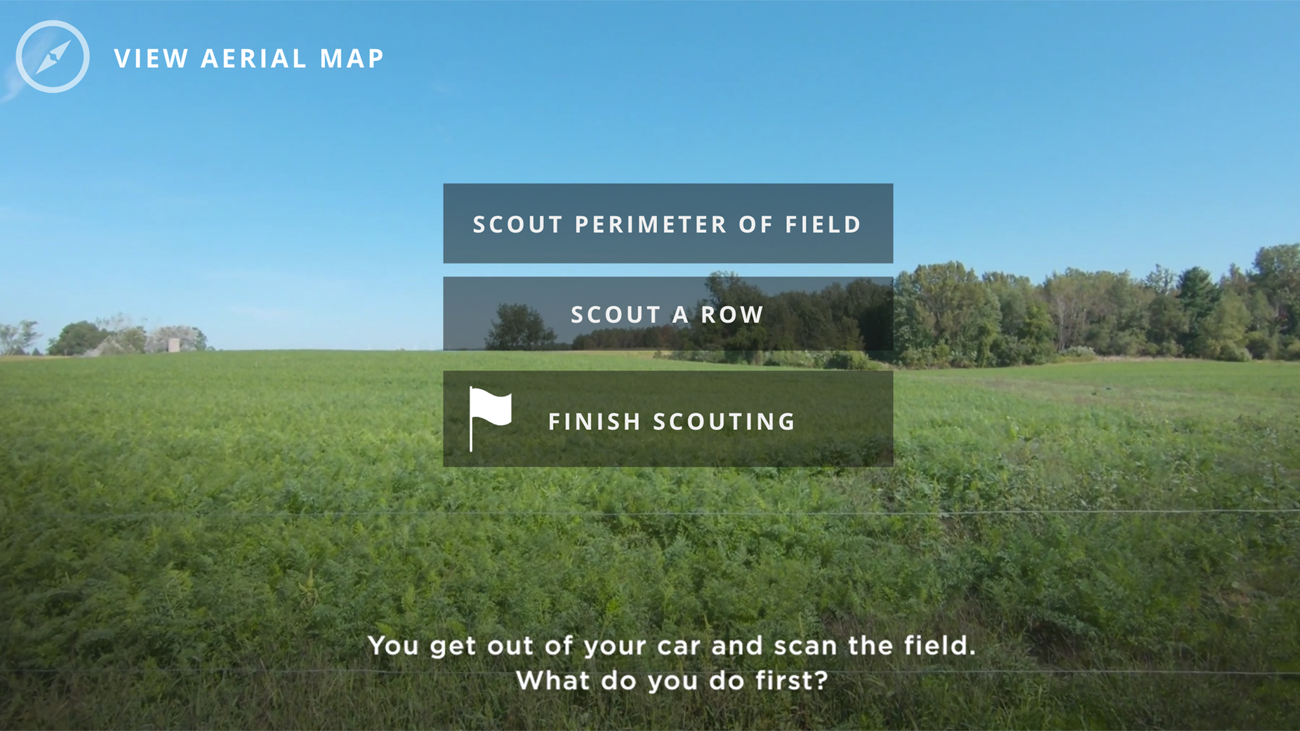 Screenshot of Video